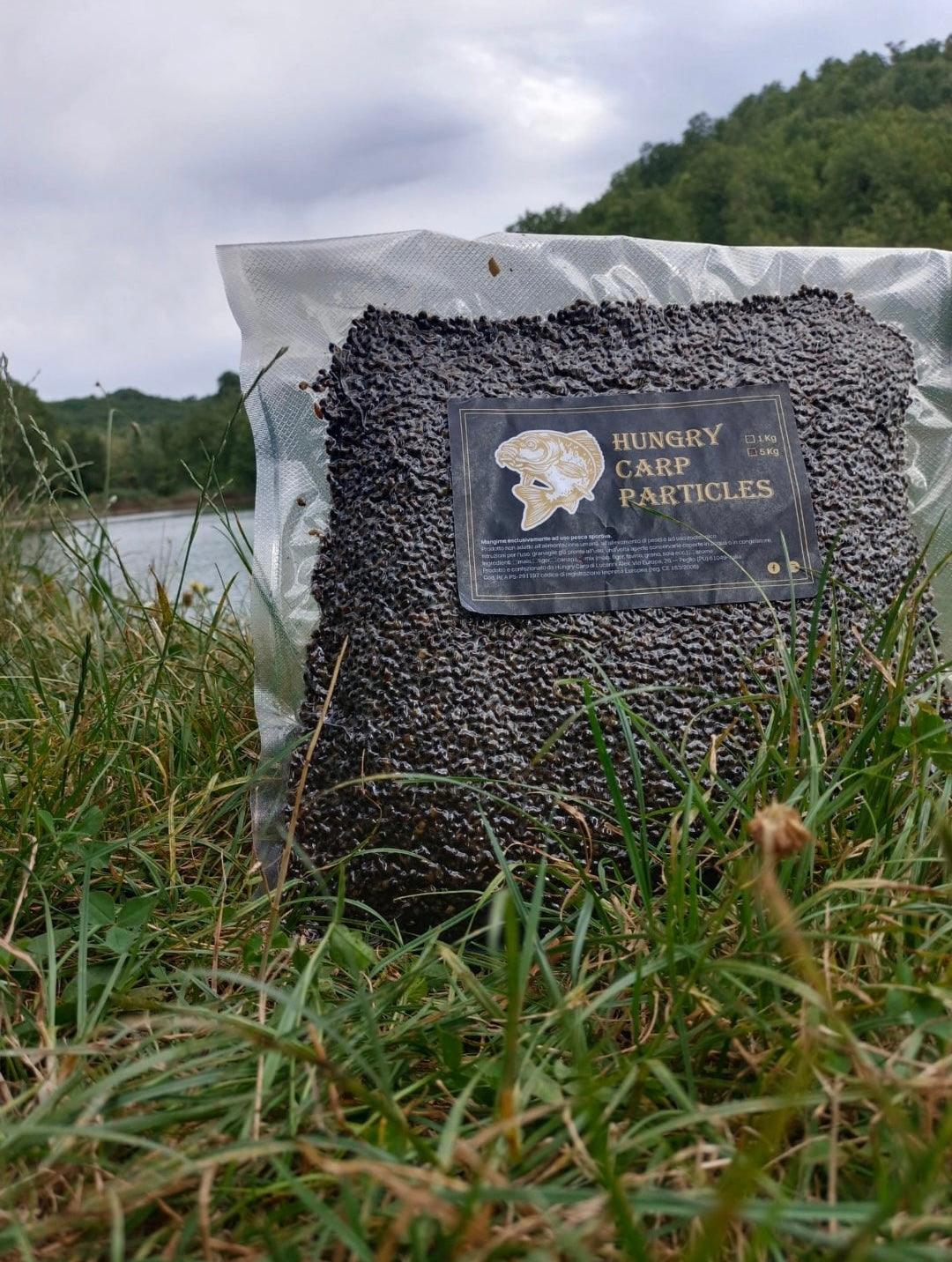 Canapa cotta naturale - Hungry carp particles