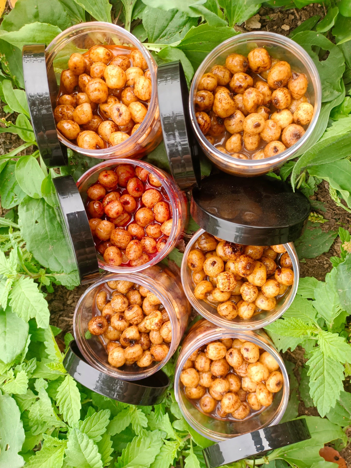 Tiger nut da innesco - Hungry carp particles