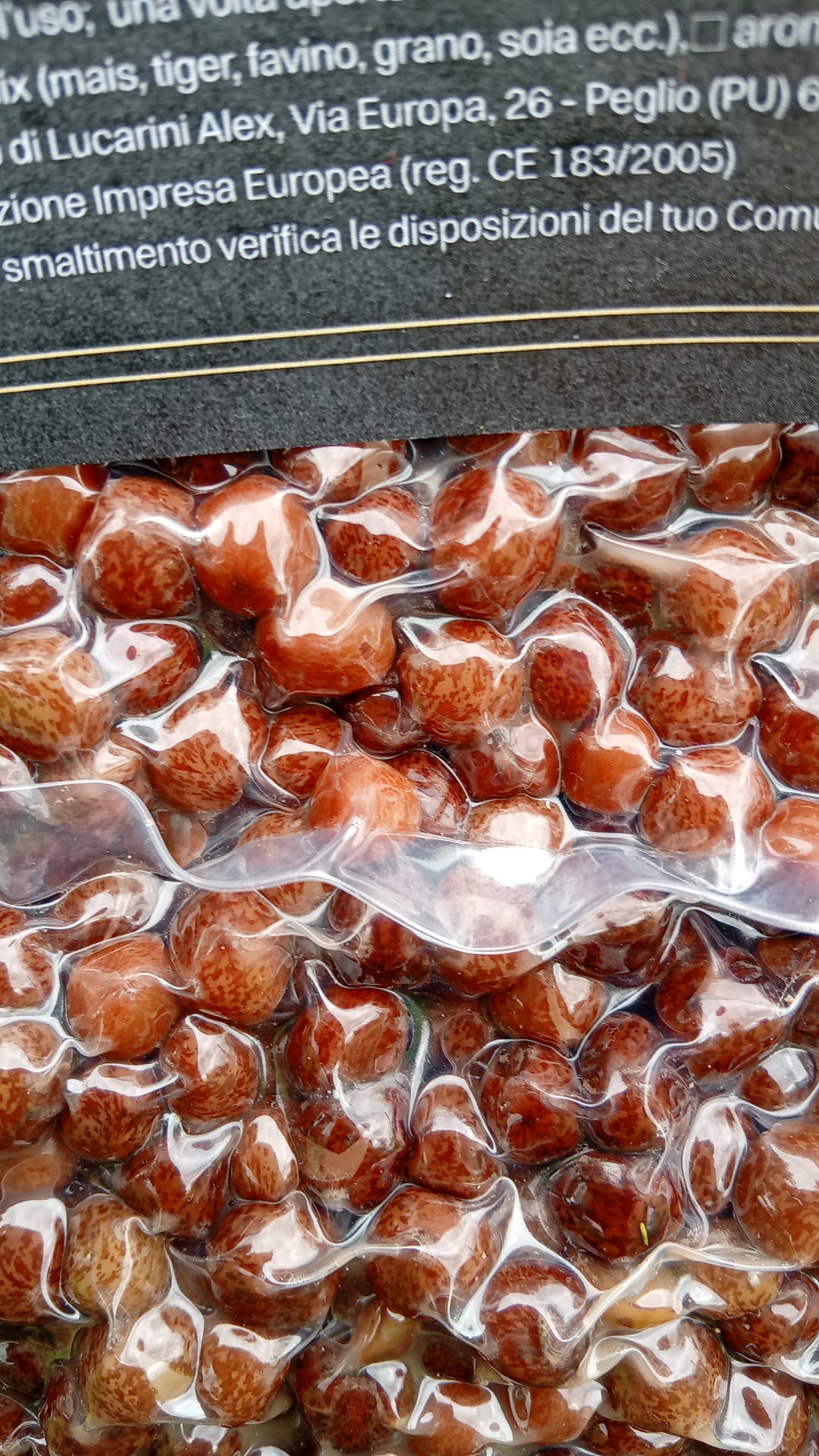 Bacche d'acero cotte