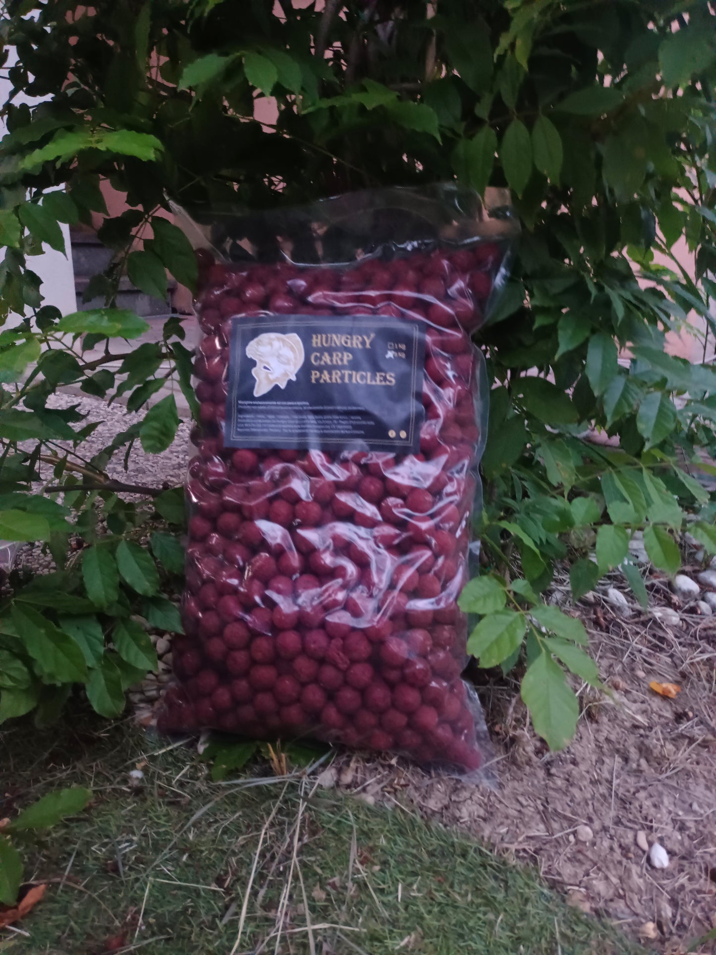 Boiles da pastura mulberry e crema