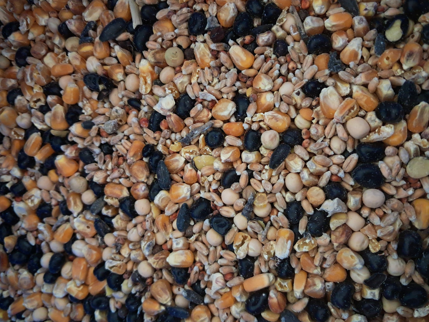 Mix granaglie secco 25 kg