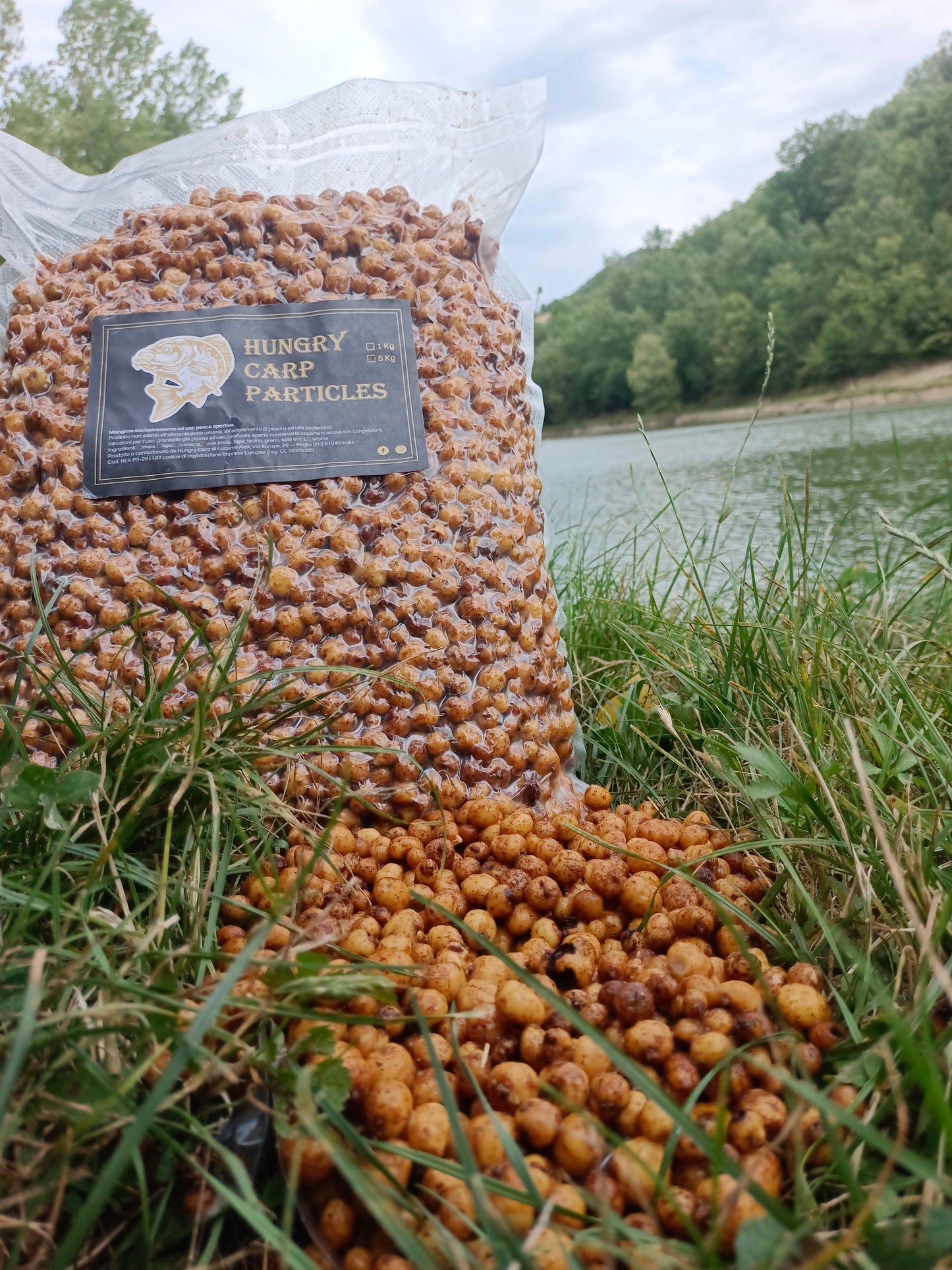 Tiger nuts fermentate 